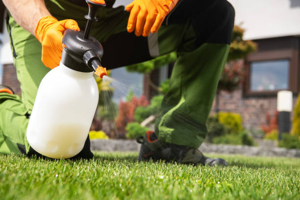Best Pest Removal Services  in Fest Grove, OR