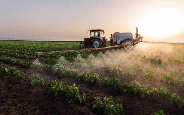 Best Commercial Pest Control Services  in Fest Grove, OR