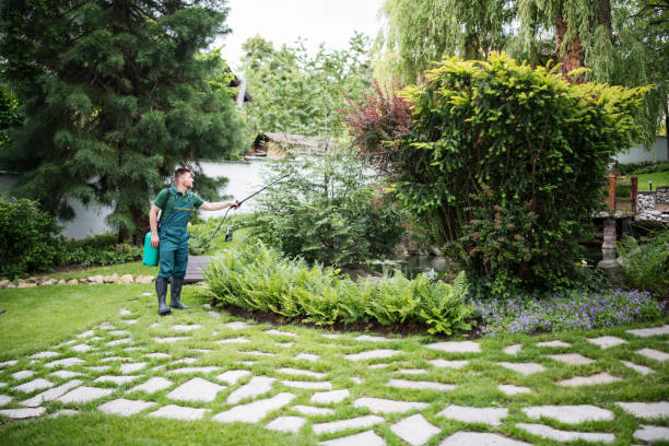 Best Wasp Removal Services  in Fest Grove, OR
