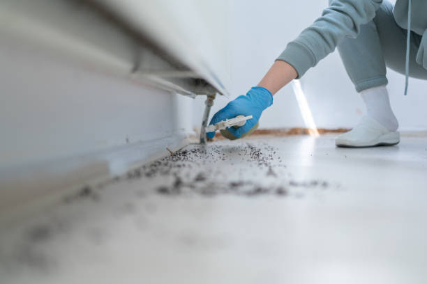 Best Cockroach Control Services  in Fest Grove, OR